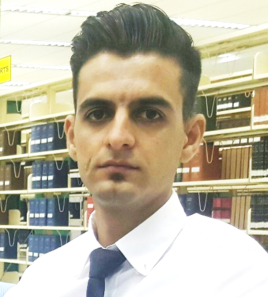 باسط حافظی