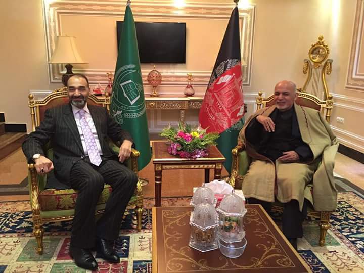 یما احمدزاده