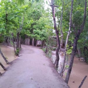 تصویر داکتر محمدالله صخره