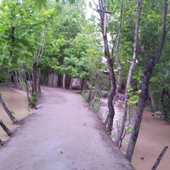 داکتر محمدالله صخره