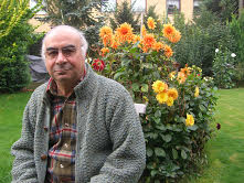 سید آقا هنری