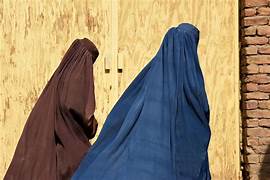 غزاله صدیقی